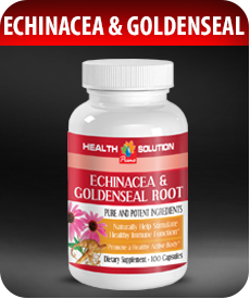 Echinacea and Goldenseal by Vitamin Prime